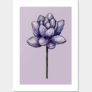 Blue Lotus flower Posters and Art